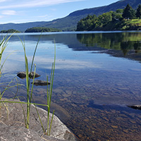 Home Fresh Water